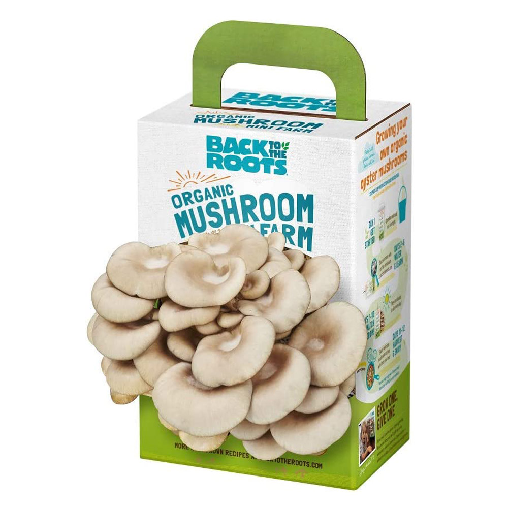 Roots1.jpg Back to the Roots Organic Mini Mushroom Grow Kit - Image 1