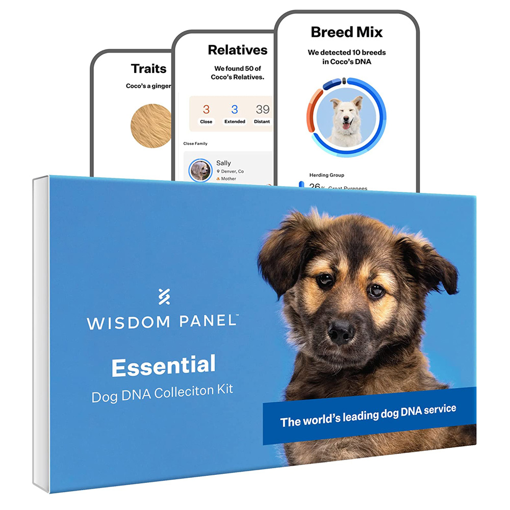 Wisdom1.jpg Wisdom Panel Essential: Most Accurate Dog DNA Test Kit for Breed ID and Ancestry - Image 1