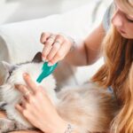 Beaphar Plus Flea and Tick Treatment for Cats - Image 3
