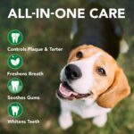 Vet’s Best Dog Toothbrush and Enzymatic Toothpaste Set - Image 2