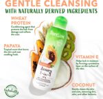 TropiClean Coconut Hypoallergenic Dog & Cat Shampoo - Image 2
